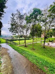 The Teneriffe (D10), Terrace #445430031